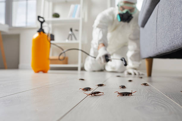 Commercial Kitchen Cockroach Control in Conestee